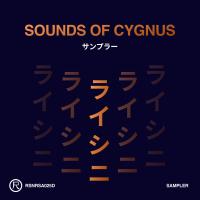 Artwork for Sounds of Cygnus (Sampler) by Markus Homm