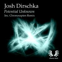 Artwork for Potential Unknown by Josh Dirschka