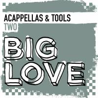 Artwork for Big Love Acappellas & Tools 2 by Various Artists