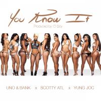 Artwork for You Know It (feat. Lil BankHead, Scotty Atl, & Yung Joc) by TODD UNO