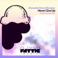 Artwork for Never Give Up (Alexander Hristov Remix) by Alexander Orue