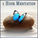 Artwork for Calm Music for Meditation