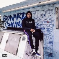 Artwork for Broward County by Teejay3k