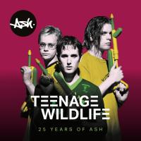 Artwork for Teenage Kicks by Ash