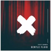 Artwork for Gentle Fluid by Steff Corner