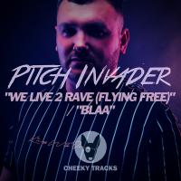 Artwork for We Live 2 Rave (Flying Free) / Blaa by Pitch Invader