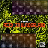 Artwork for ACID Im Wunderland by Tito K.