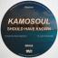 Artwork for Should Have Known (Original Mix)
