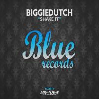 Artwork for Shake It by BiggieDutch