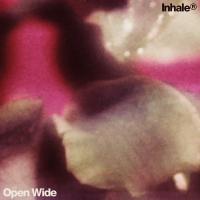 Artwork for Open Wide by Inhaler