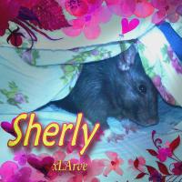 Artwork for Sherly by Xlarve