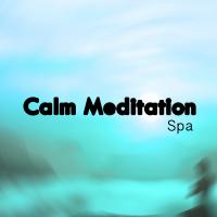 Artwork for Calm Meditation by Spa