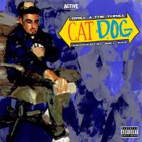 Artwork for CatDog by Brill 4 the Thrill