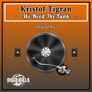 Artwork for We Need The Funk (Original Mix)