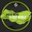Artwork for A Fast World