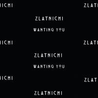 Artwork for Wanting You by Zlatnichi