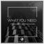 Artwork for What You Need (Original Mix)