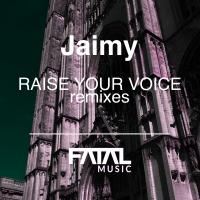 Artwork for Raise Your Voices (Remixes) by Jaimy