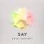 Artwork for Say