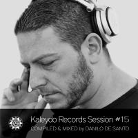 Artwork for Kaleydo Records Session #15 by Various Artists