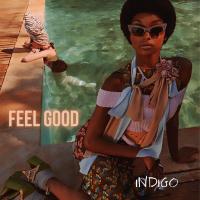 Artwork for Feel Good by Indigo
