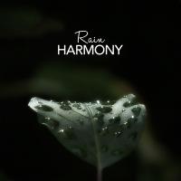 Artwork for Rain Harmony by Rain Sounds