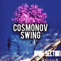 Artwork for Swing by Cosmonov