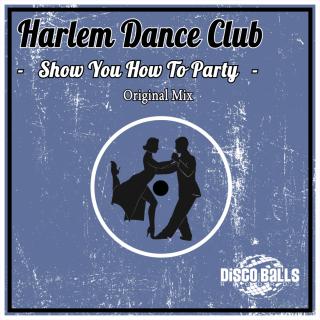 Artwork for Show You How To Party (Original Mix)
