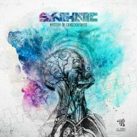 Artwork for Mystery of Consciousness by Synthatic