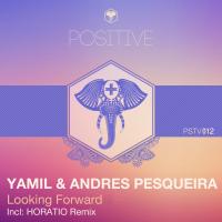 Artwork for Looking Forward by Yamil