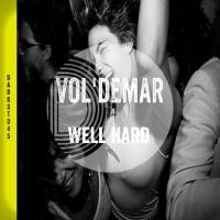 Artwork for Well Hard by VOL'DEMAR