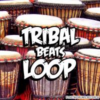 Artwork for Tribal Beats Loop by Plastikbeat