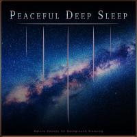 Artwork for Peaceful Deep Sleep: Nature Sounds for Background Sleeping by Deep Sleep
