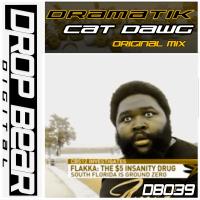 Artwork for Cat Dawg by Dramatik