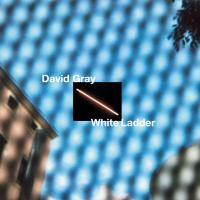 Artwork for White Ladder by David Gray