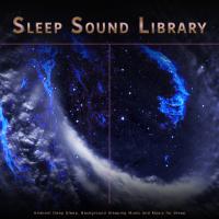 Artwork for Sleep Sound Library: Ambient Deep Sleep, Background Sleeping Music and Music for Sleep by Sleep Sound Library