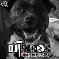 Artwork for Underdog Ep by DJ Terror