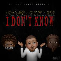 Artwork for I Don't Know by KxNG LLAMA