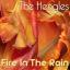 Artwork for Fire In the Rain