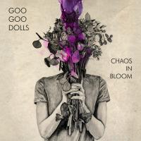 Artwork for Chaos In Bloom by Goo Goo Dolls