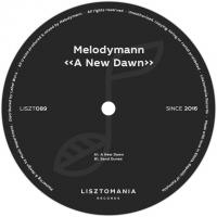 Melodymann