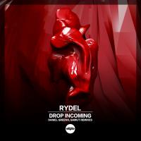 Artwork for Drop Incoming by Rydel