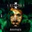 Artwork for Animals