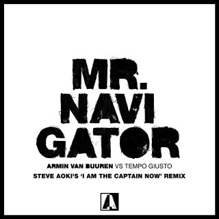 Artwork for Mr. Navigator (Steve Aoki's 'I Am The Captain Now' Remix)