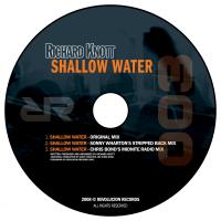 Artwork for Shallow Water by Richard Knott