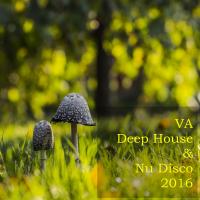 Artwork for Deep House & Nu Disco 2016 by Various Artists