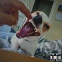 Artwork for Please Don't