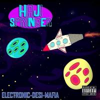 Artwork for Electronic Desi Mafia by Haji Springer