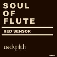 Artwork for Soul Of Flute by Red Sensor