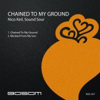 Artwork for Chained To My Ground EP by Nico Keil